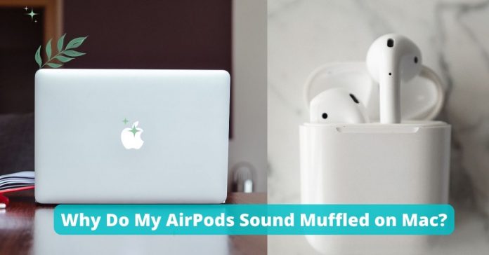 Why Do My AirPods Sound Muffled on Mac