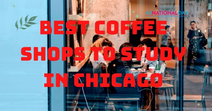 Best Coffee Shops To Study In Chicago