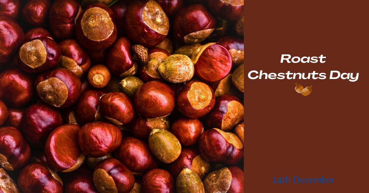 Roast Chestnuts Day - DiscoveryCentre