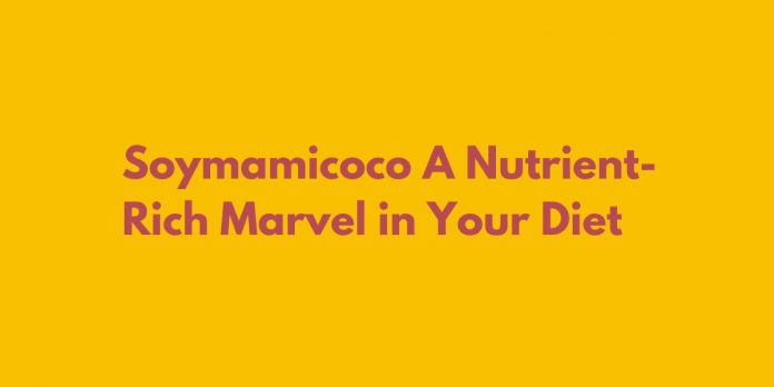 Soymamicoco A Nutrient-Rich Marvel in Your Diet