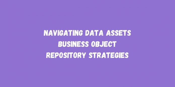 Navigating Data Assets Business Object Repository Strategies