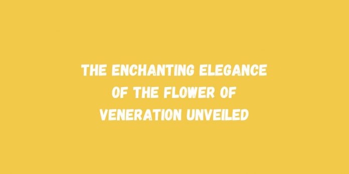 The Enchanting Elegance of the Flower of Veneration Unveiled